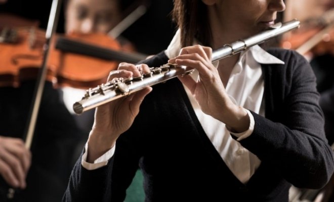 Максим Алексеев и ГСО