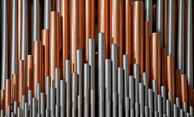 Абонемент № 41. Organum