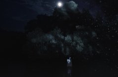 Галлюцинат