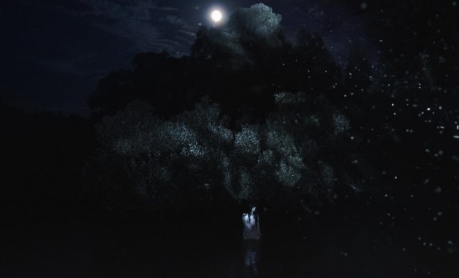 Галлюцинат