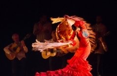 Flamenco Familia