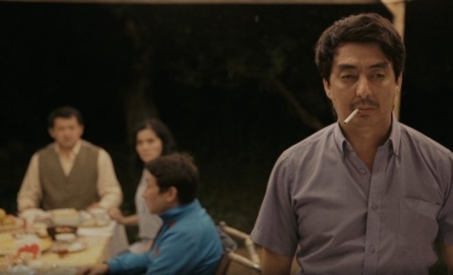 Бiр түп алма ағашы