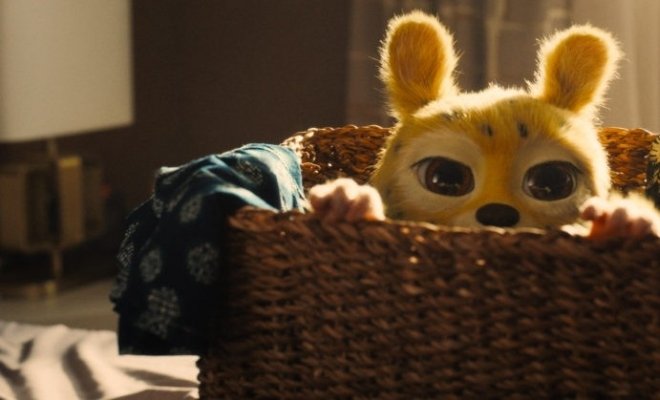 Марсупилами. Пушистый круиз