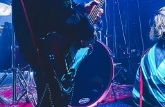 Мятный крикет