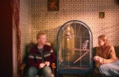 Мальчик-птица