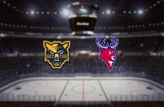 Кинопоказ матча КХЛ «Сочи» — «Торпедо»