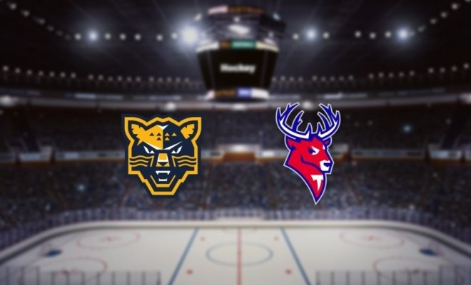 Кинопоказ матча КХЛ «Сочи» — «Торпедо»