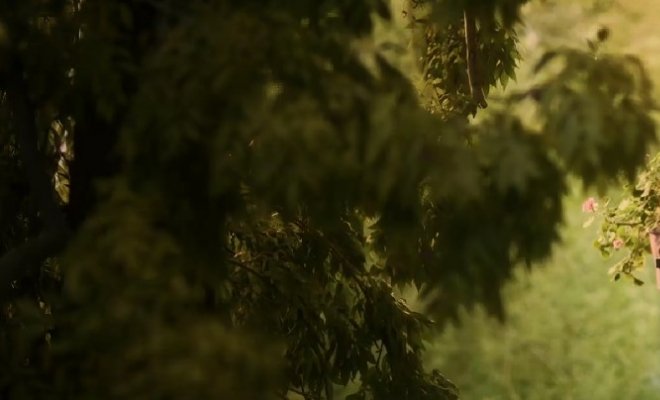 Соңғы Махаббат