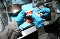 Разрушители мифов