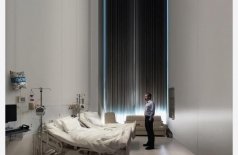 Убийство священного оленя