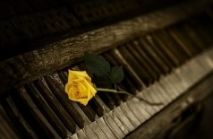 Диалоги невских берегов