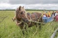 Сею-вею, посеваю