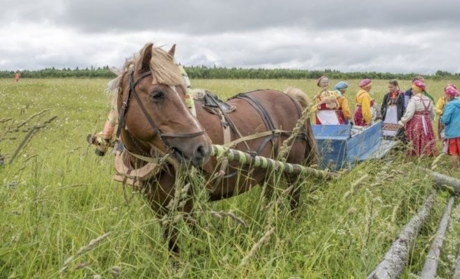 Сею-вею, посеваю