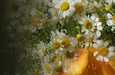 Оркестр «Модерн». Рихтер & Эйнауди: оркестровые эскизы