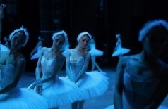 Лебединое озеро