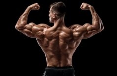 Titan Wrestling. Спасители рестлинга