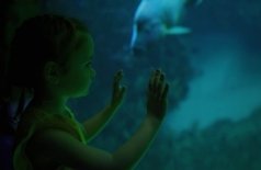 Люди большой воды