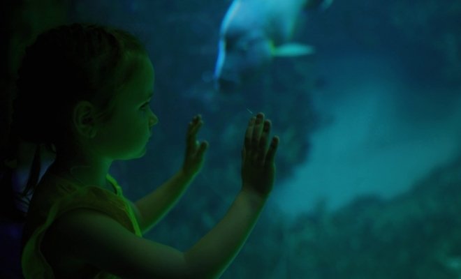 Люди большой воды