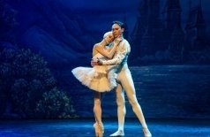 Лето пируэта. Лебединое озеро