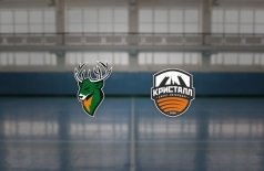 Торпедо — Кристалл