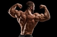 Кубок и первенство Тюменской области по бодибилдингу