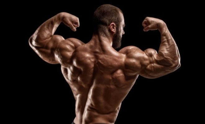 Кубок и первенство Тюменской области по бодибилдингу