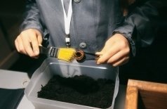 Sciencely. Археология