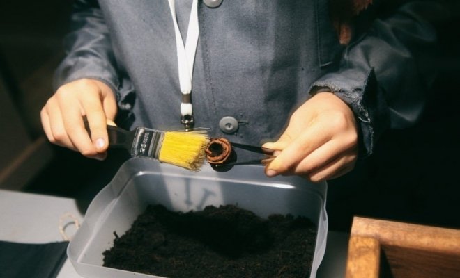 Sciencely. Археология