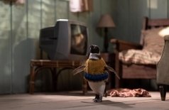 Мой пингвин