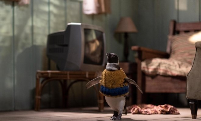 Мой пингвин