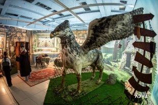 В Сургуте открывается выставка «Тайны Хогвартс»