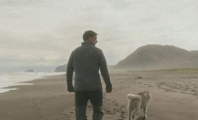 Очаги. Продолжение. Жизни