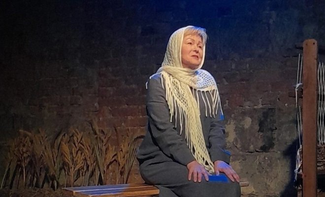 Материнское поле