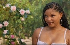 Ты, я и лето в Тоскане