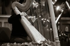 Класс арфы Надежды Сергеевой