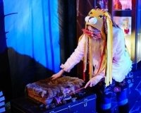 В Краснодаре пройдет вторая часть выставки «Вселенная Гарри Поттера»