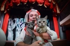 Котобум. Дмитрий Куклачёв