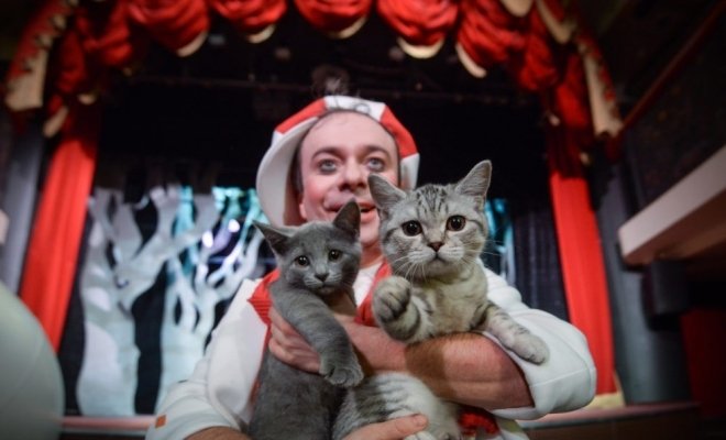 Котобум. Дмитрий Куклачёв