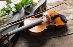 От классики до киномузыки. Орган, скрипка, арфа