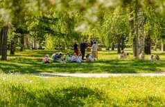 Пленэр с художником