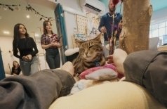 Личные истории: документальное короткометражное кино
