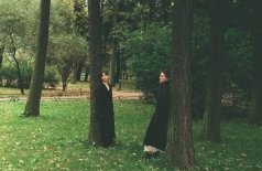 Солисты ансамбля независимых музыкантов. Пейзажи с птицами
