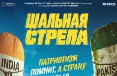 Шальная стрела