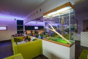 Открытие нового караоке-кафе «Чао Какао Лайм»
