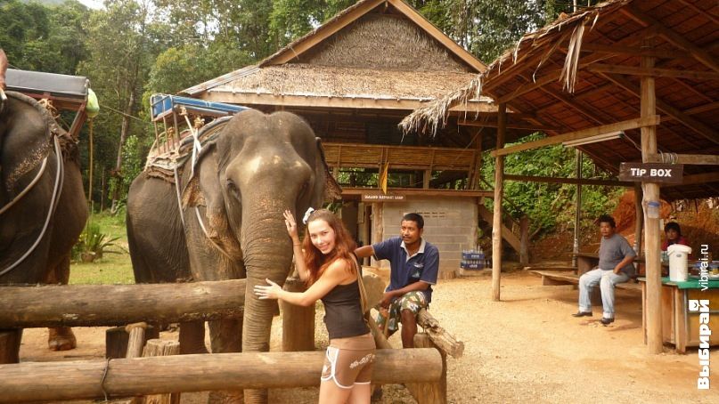 Тайланд, Пхукет. После прогулки на слонах, прислала Кристина Покотенко