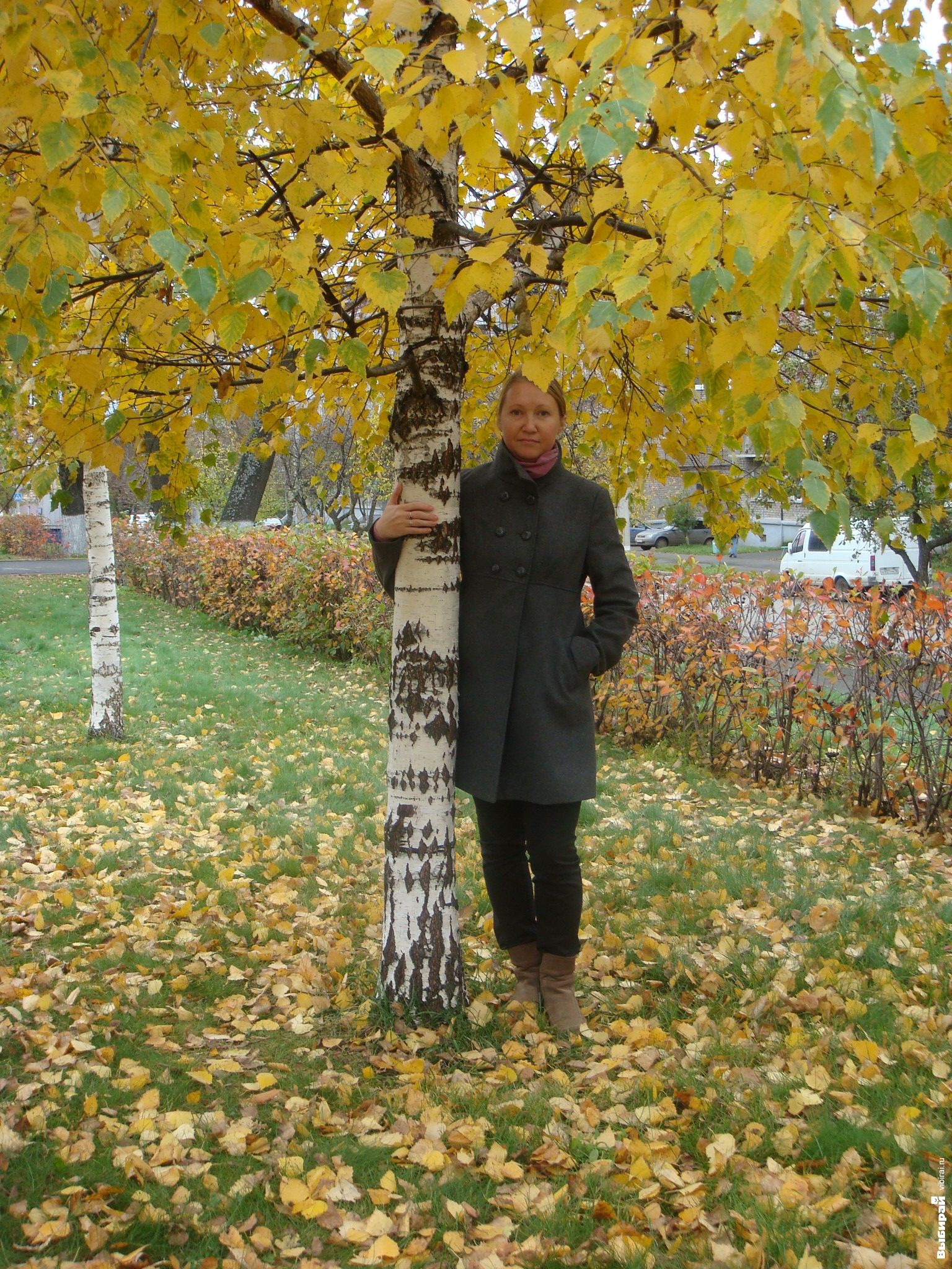 Фото Осеннего Королева