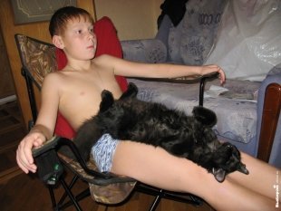 Кошка Аська