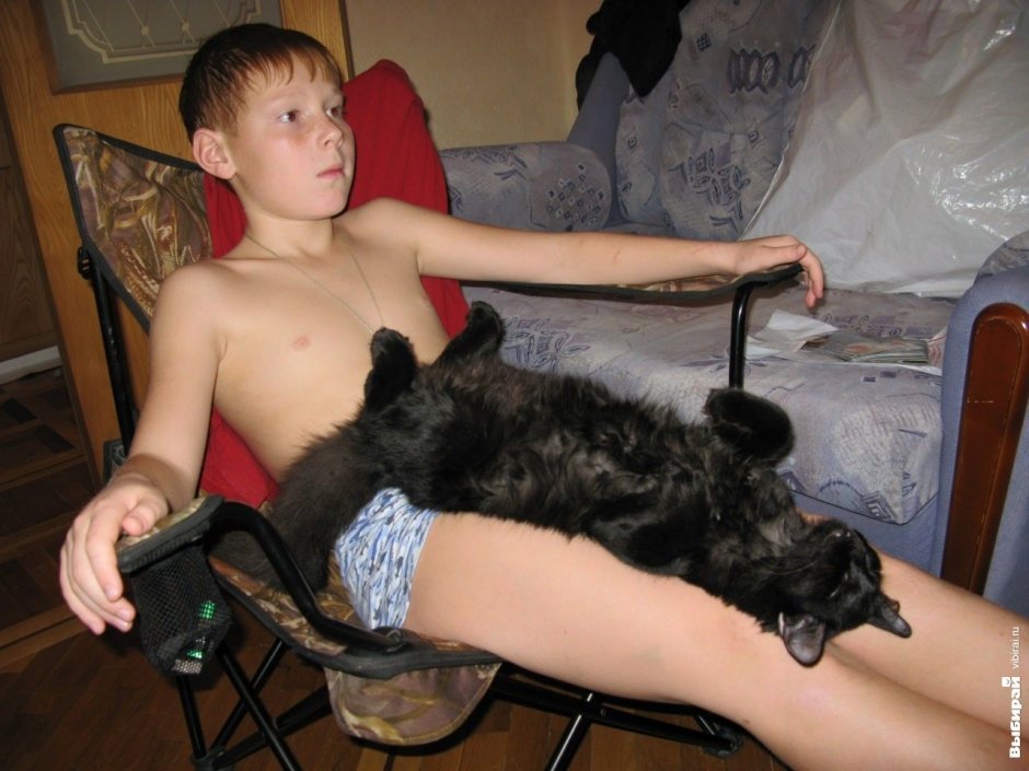 Кошка Аська