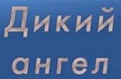 Дикий ангел
