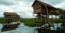 Бетель, лотос, грузовик: 5 вещей, которые надо сделать в Мьянме